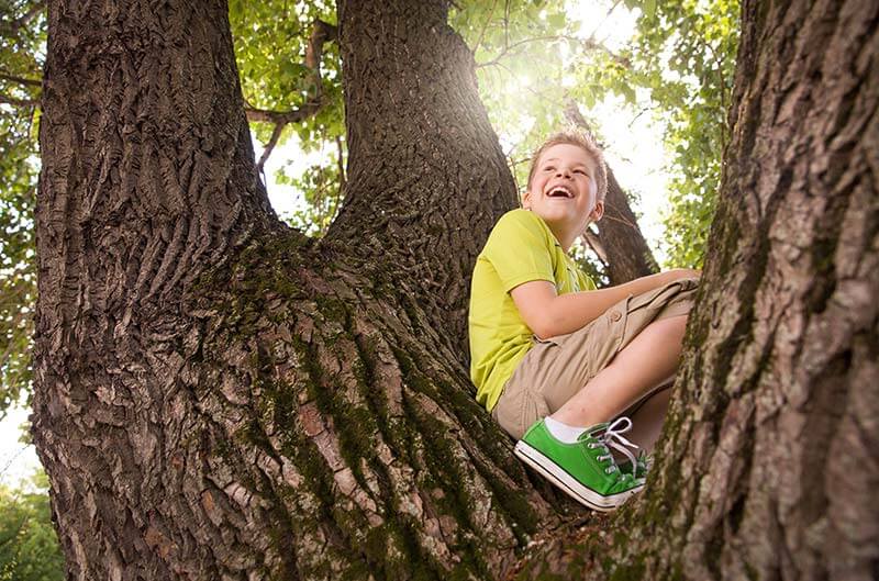 Erlebnisweg Felsengeister