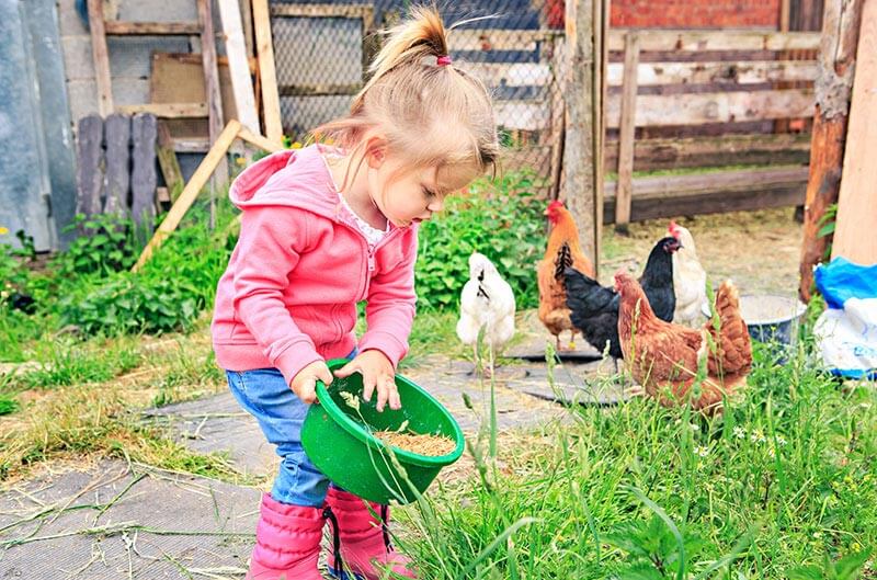 Urlaub auf dem Bauernhof