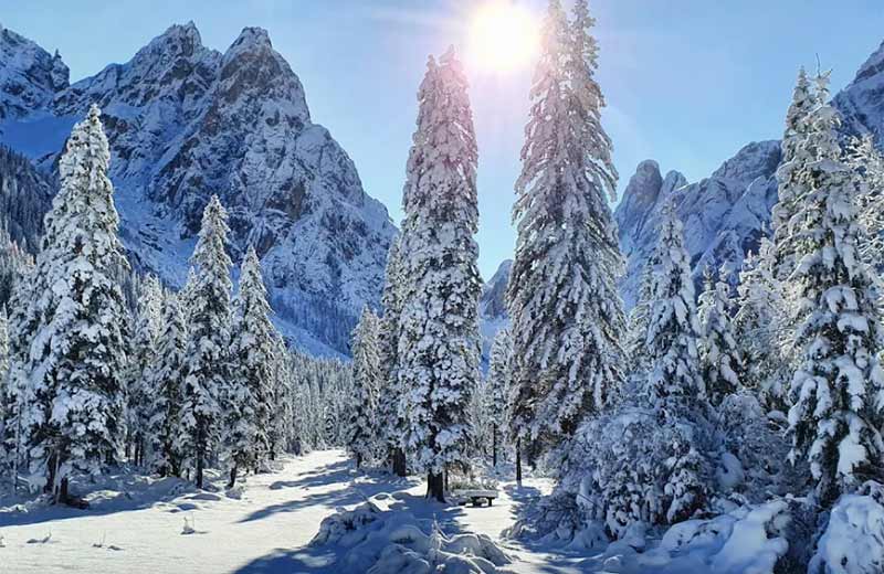 Video - Fischleintal